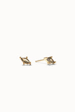 Load image into Gallery viewer, Stone Earrings
