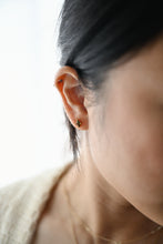 Load image into Gallery viewer, Stone Earrings
