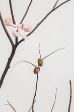 Load image into Gallery viewer, Paradise Studs
