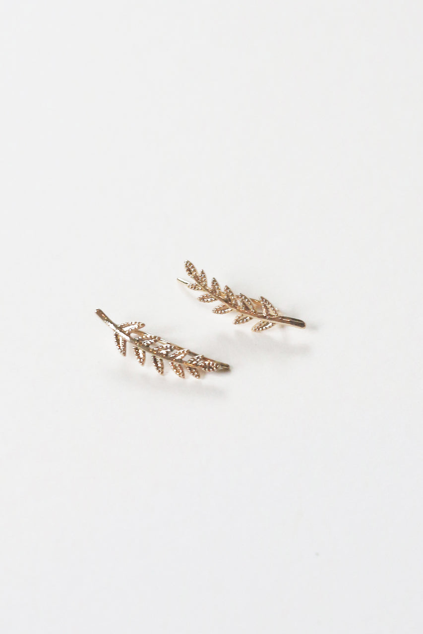 Elderwood Vine Slides