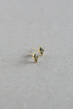 Load image into Gallery viewer, Stone Earrings

