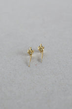 Load image into Gallery viewer, Stone Earrings
