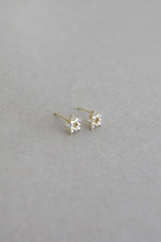 Load image into Gallery viewer, Estrella Studs
